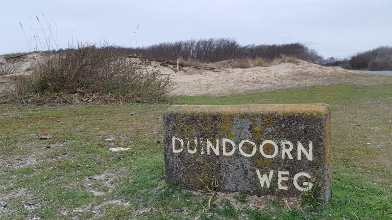 Wandeing Duindoornweg Noordwijk