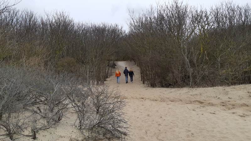 Een lentewandeling over het Boswachterspad Kachelduin en Malote