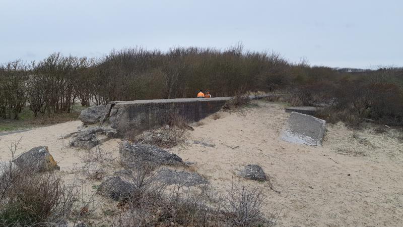 Een lentewandeling over het Boswachterspad Kachelduin en Malote