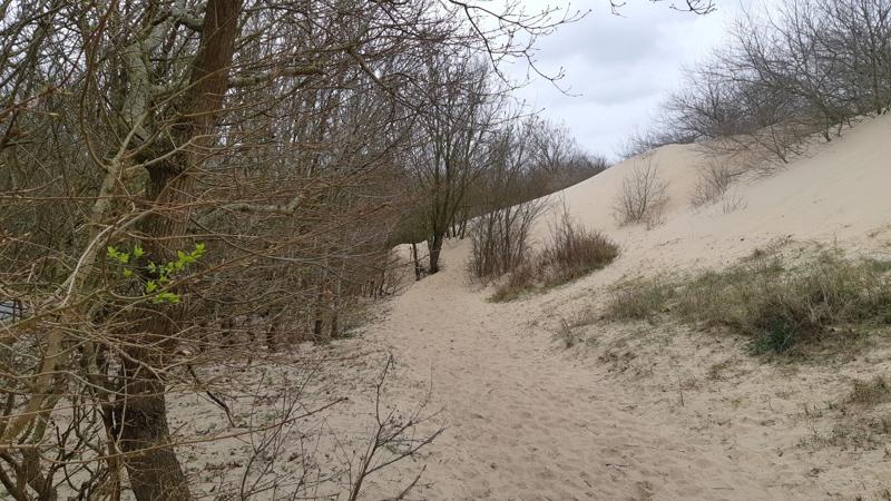 Een lentewandeling over het Boswachterspad Kachelduin en Malote