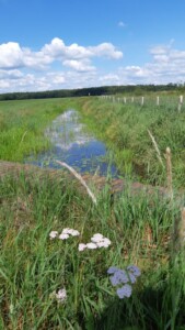 Autovrije route zandhuizen madenweg