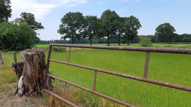 wijnwandelen in Twente