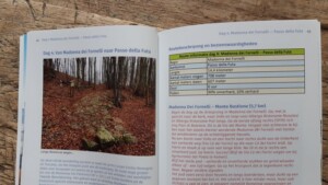 Wandelen over de Godenweg