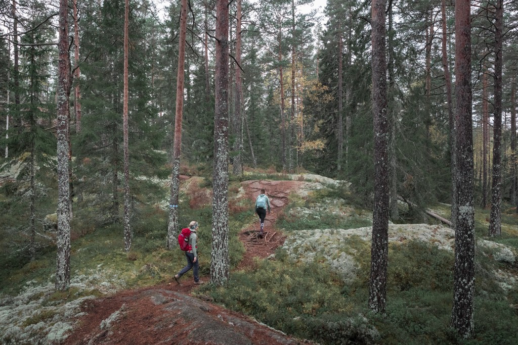 tiveden national park - wandelen in zweden