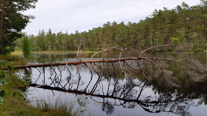 Wandelen in Zweden