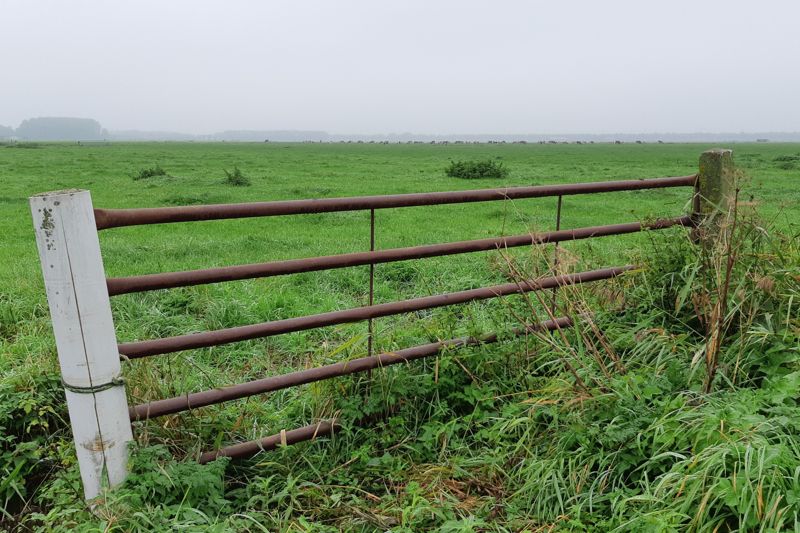 Wandelroute Groene Wissel Weesp