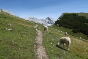 De Innsbruck Trek dag 2 Wankspitze