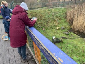 Otters fotograferen