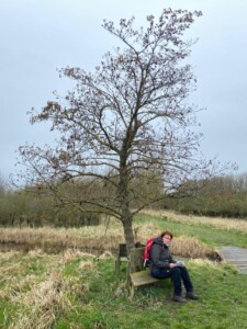 Wandelbankje bij het Wendelbos