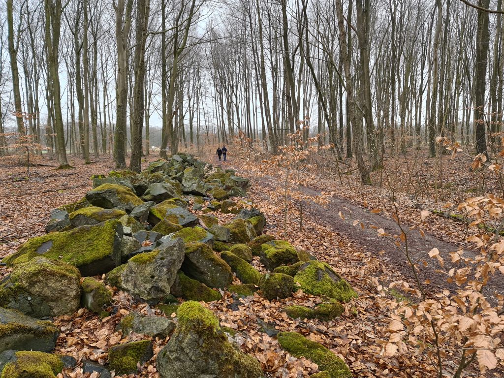 Grote stenen op de waterloopbos wandelroute