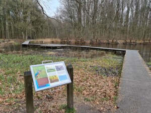 Wandelroute Waterloopbos