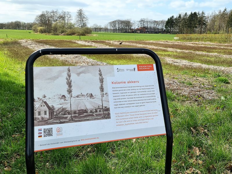 Wandelen in Frederiksoord: De monumenten route