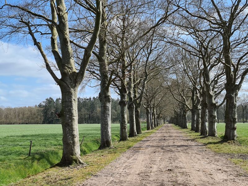 Wandelen in Frederiksoord