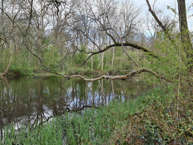 Wandelen langs grachten in Omerschans