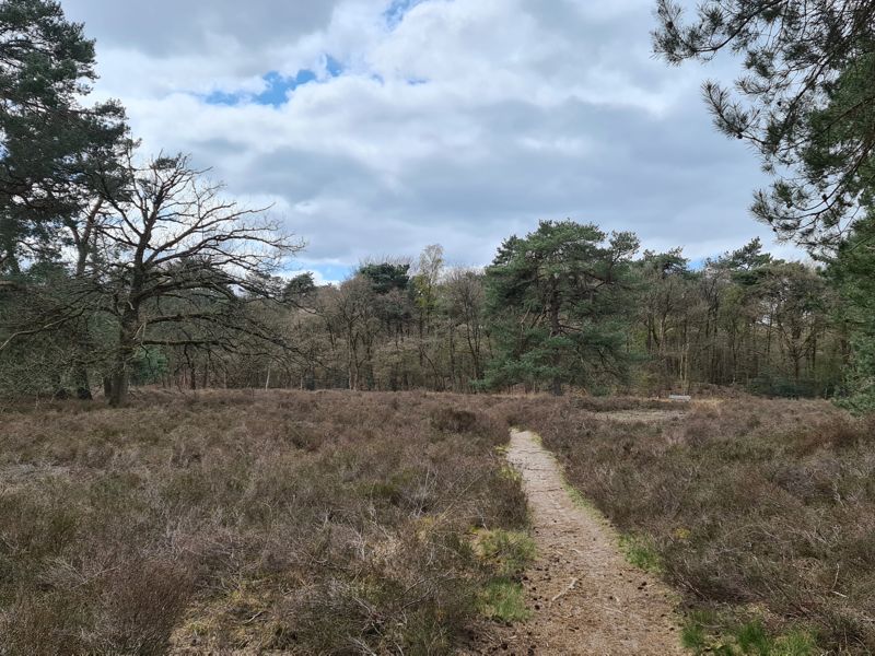 Weldadig wandelen in Ommerschans