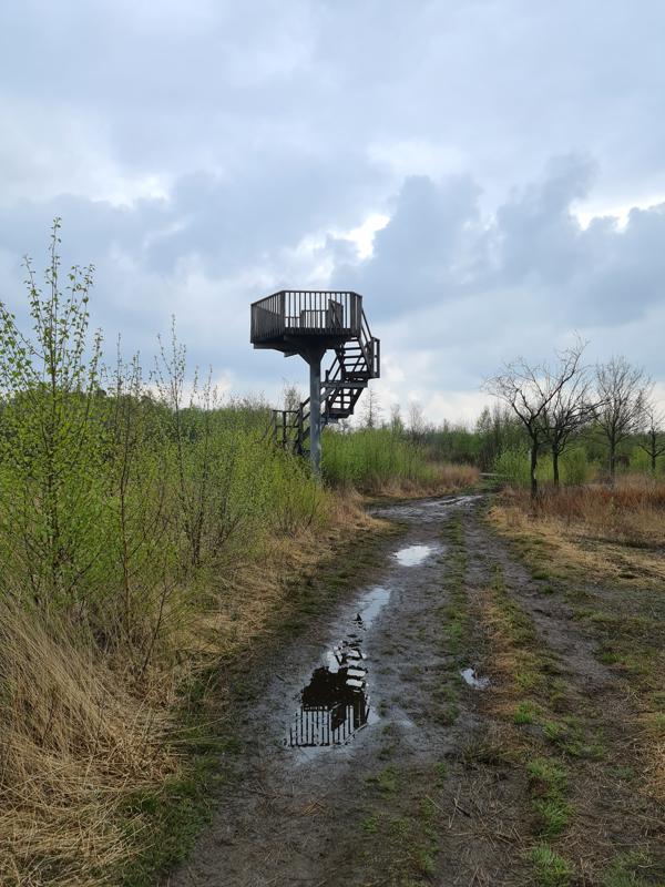 Uitkijktoren in Korenburgerveen