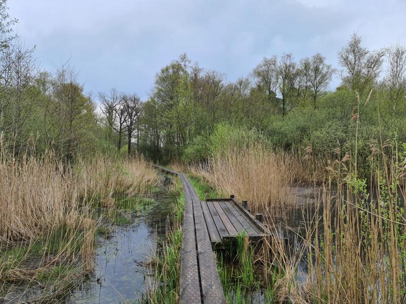 Vlonderpad Korenburgerveen