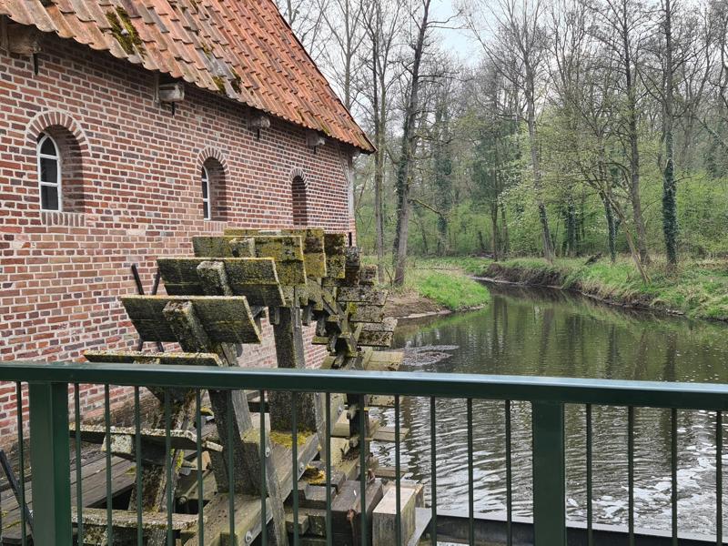 Berenschot's watermolen