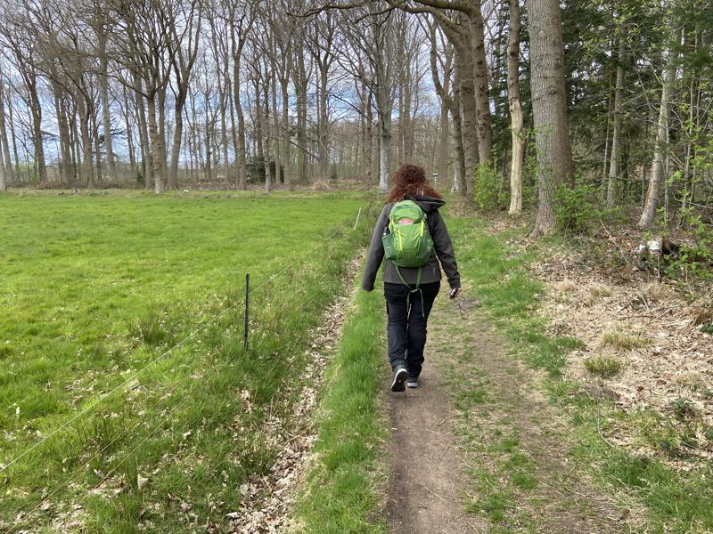 Wandelen in Frederiksoord