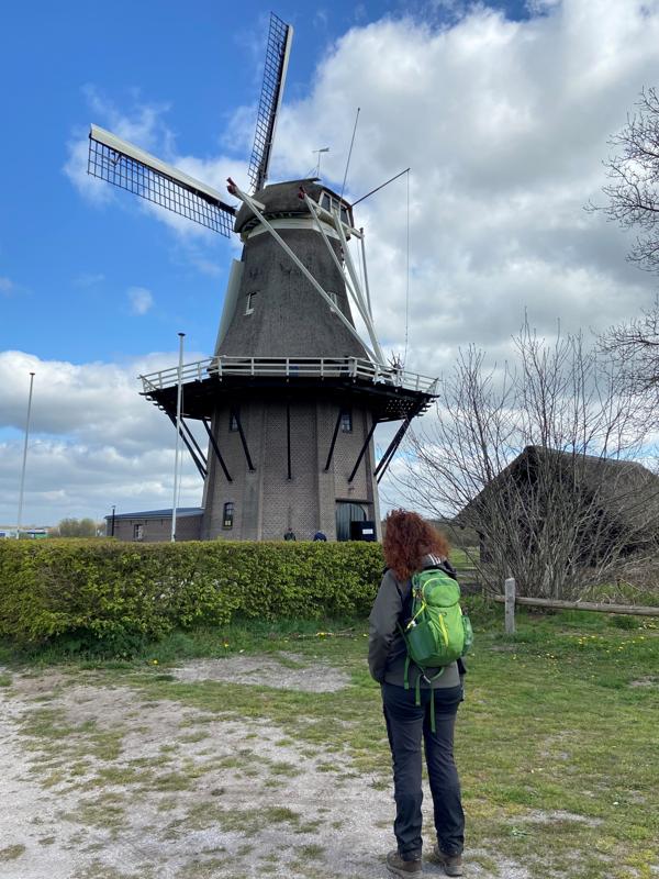 Korenmolen de Star in Balkbrug