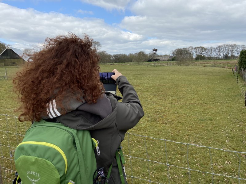 Foto nemen van ooievaarsnest