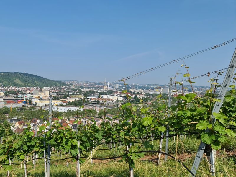 Uitzicht over Stuttgart