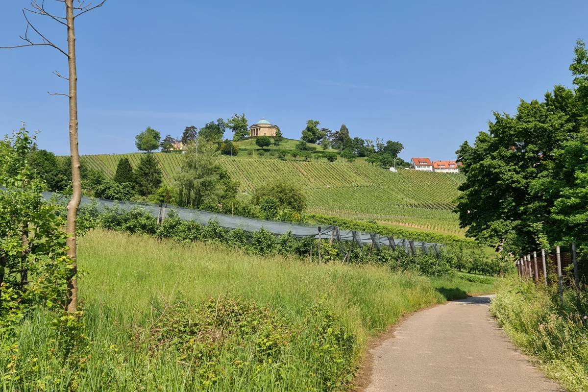 Wijnwandelen langs de Weinwanderweg Obertürkheim - regio Stuttgart