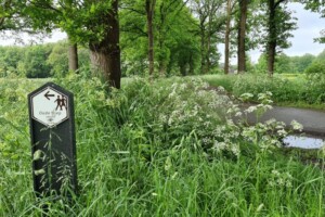 Oude Diep wandelroute