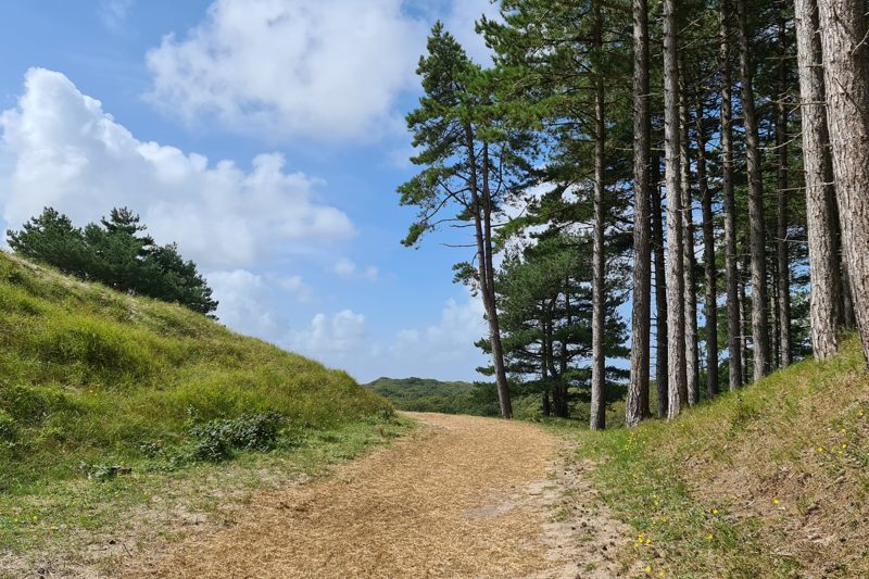 Noordhollands Duinreservaat