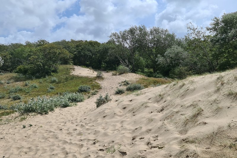 Noordhollands Duinreservaat