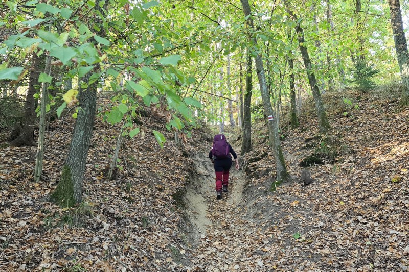 Lužnice Valley Hiking Trail