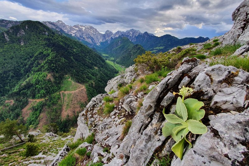  Slovenian Mountain Trail Logar vallei 
