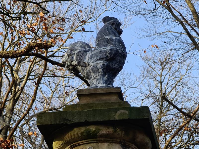 De haan op de Burmaniazuil 