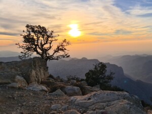 Wadi Dana Biosphere Reserve