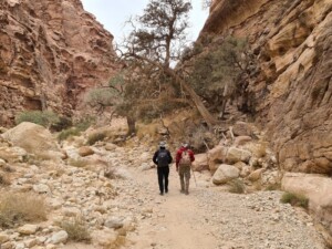 De Dana to Jordan Trail