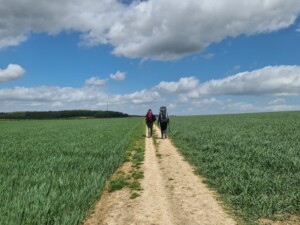 wandelen in Limburg over de DMT