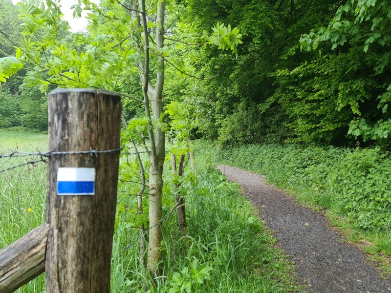 blauw-witte markering van de Dutch Mountain Trail