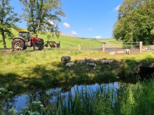 Wandelen over de VAM-berg