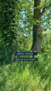 Wandelen in Drenthe