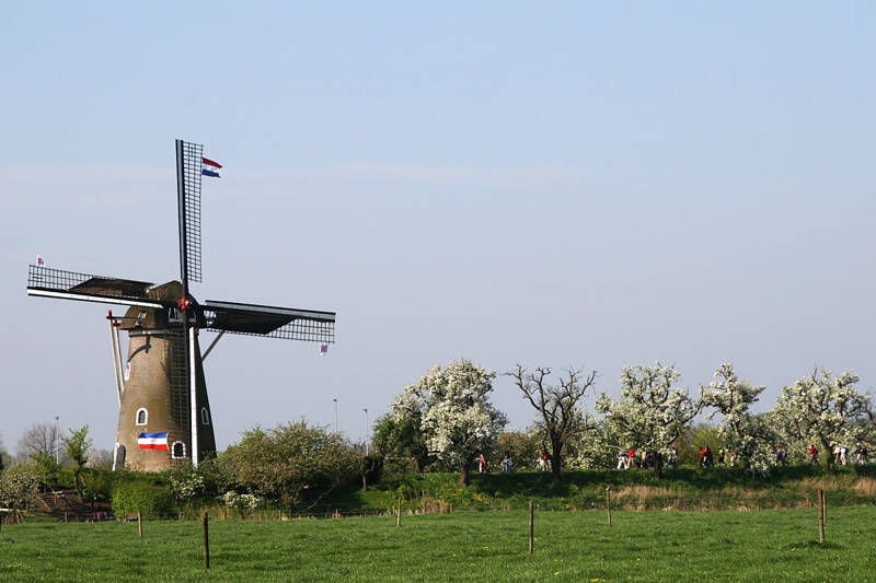 Bloesemtocht