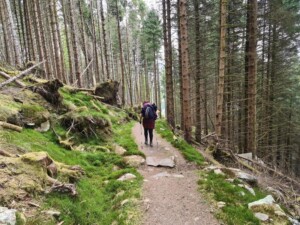 Loch Ness, Great Glen Way