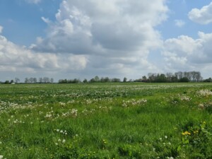 Wandelen op Schokland