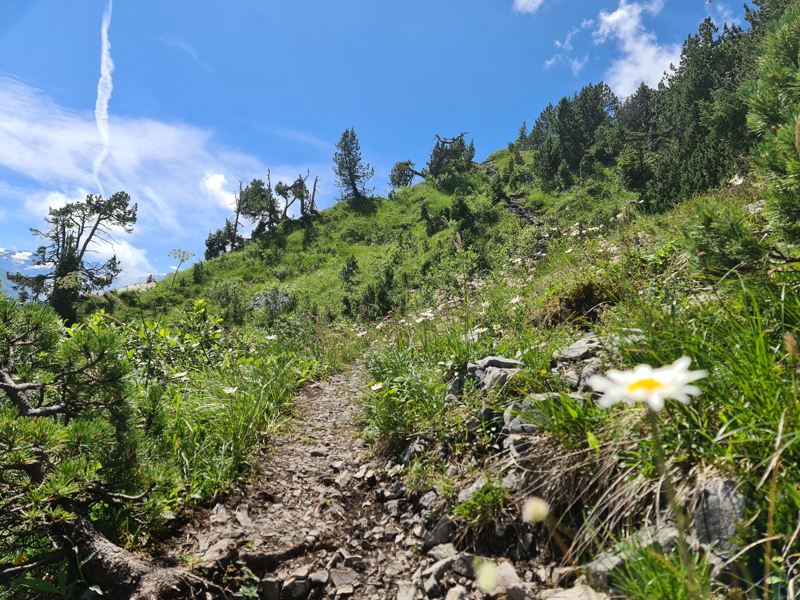 de Nidwaldner Höhweg. Tell-Trail etappe 5