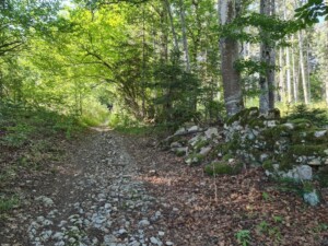 ViaBerna etappe 2