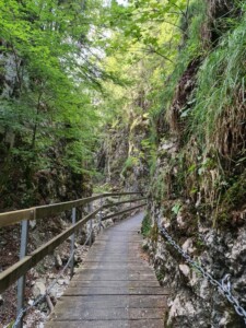 ViaBerna etappe 3 La Combe Grède