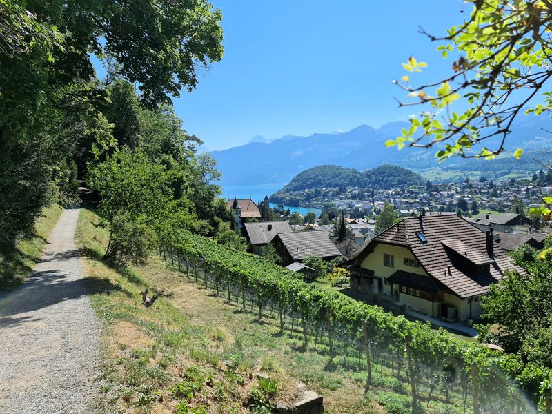 View Spiez