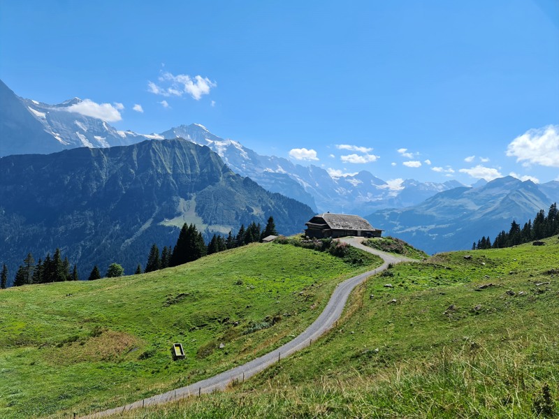 Op weg naar Schynige Platte