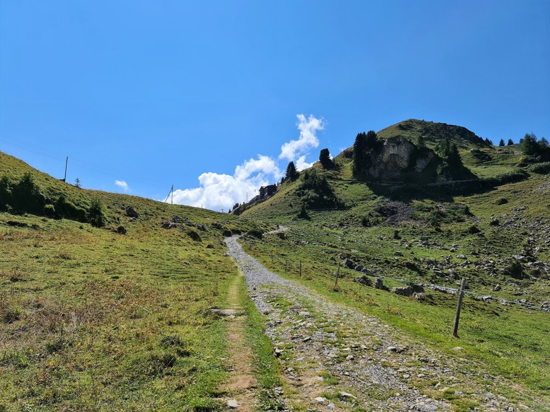 Op weg naar Schynige Platte