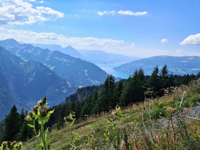 Meer van Brienz - Brienzersee