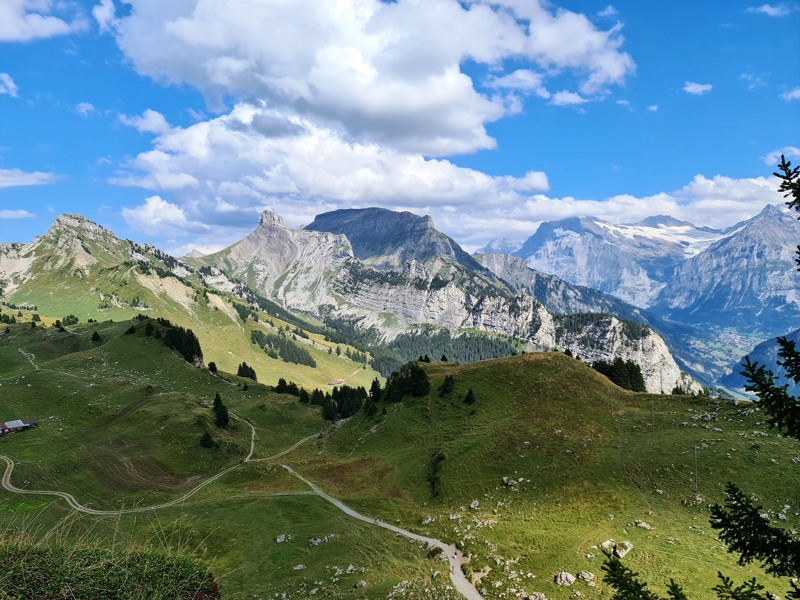 Uitzicht van Schynige Platte